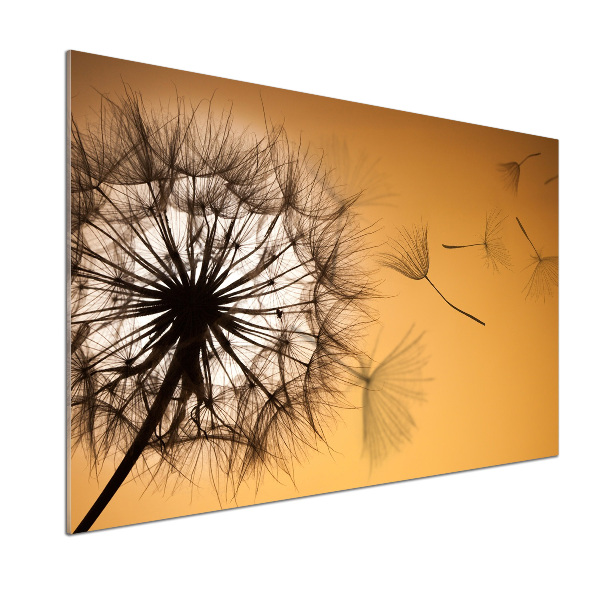 Cooker splashback Dandelion