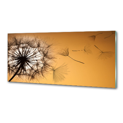 Cooker splashback Dandelion