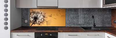 Cooker splashback Dandelion