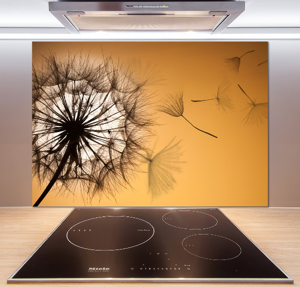 Cooker splashback Dandelion