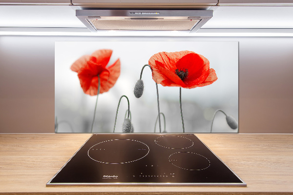 Cooker splashback Macs