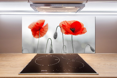 Cooker splashback Macs