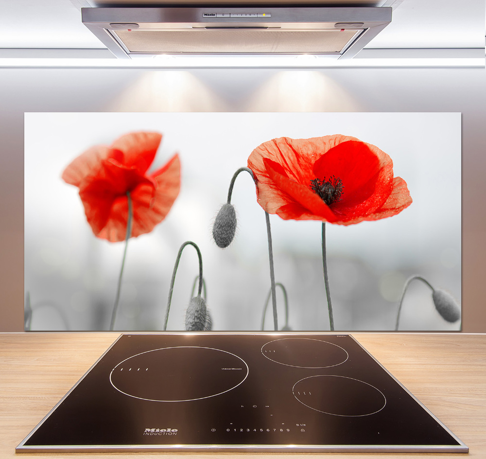 Cooker splashback Macs