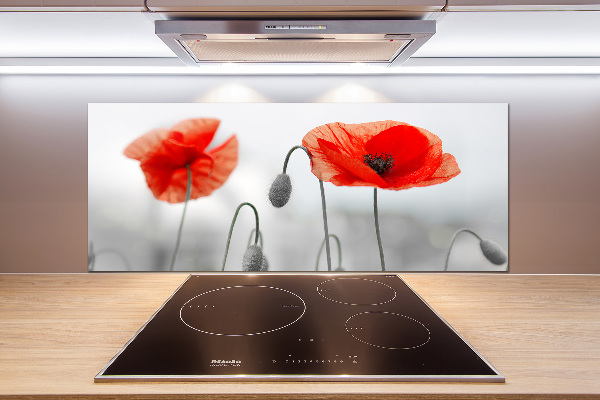 Cooker splashback Macs