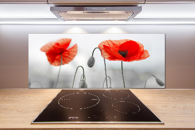 Cooker splashback Macs