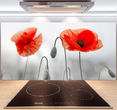 Cooker splashback Macs