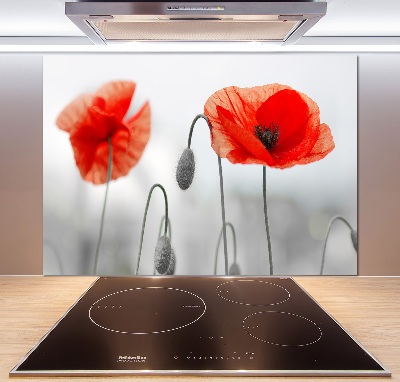 Cooker splashback Macs