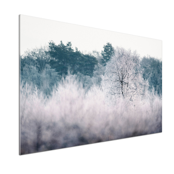 Cooker splashback Winter trees