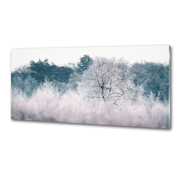 Cooker splashback Winter trees