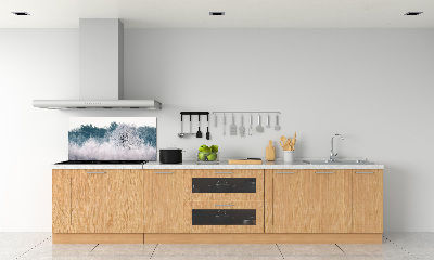 Cooker splashback Winter trees