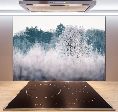 Cooker splashback Winter trees