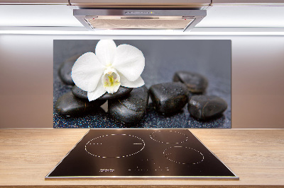 Cooker splashback Orchid