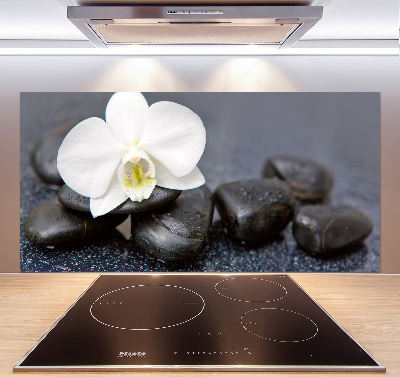 Cooker splashback Orchid