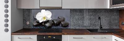 Cooker splashback Orchid