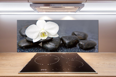 Cooker splashback Orchid