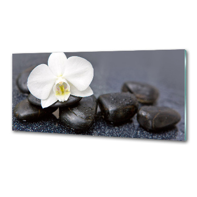 Cooker splashback Orchid