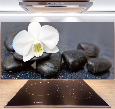 Cooker splashback Orchid