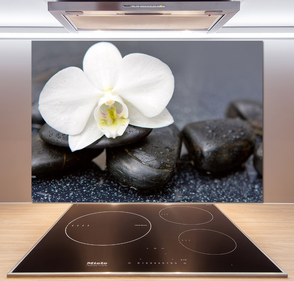 Cooker splashback Orchid