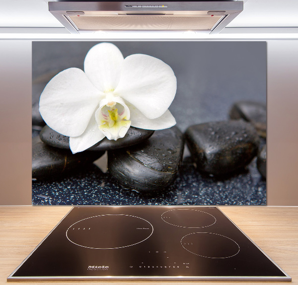 Cooker splashback Orchid