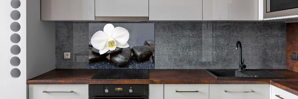 Cooker splashback Orchid