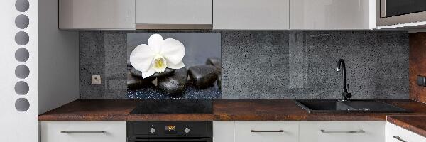 Cooker splashback Orchid