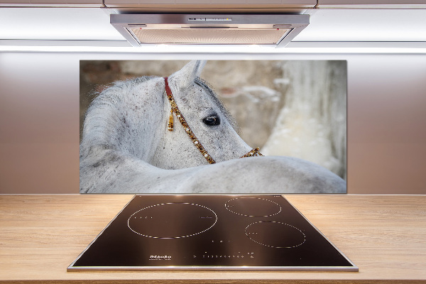 Kitchen splashback White Arabian horse