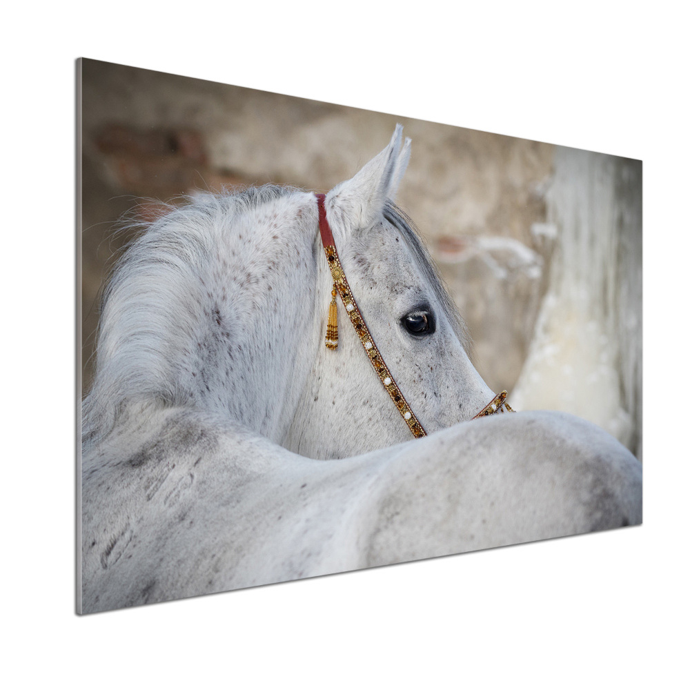 Kitchen splashback White Arabian horse