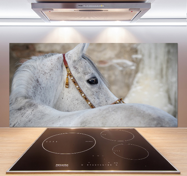 Kitchen splashback White Arabian horse