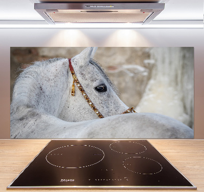 Kitchen splashback White Arabian horse