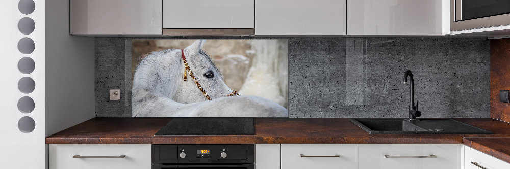 Kitchen splashback White Arabian horse