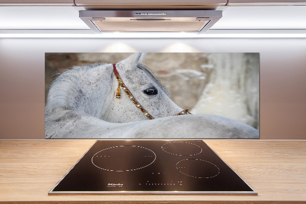 Kitchen splashback White Arabian horse