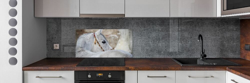 Kitchen splashback White Arabian horse