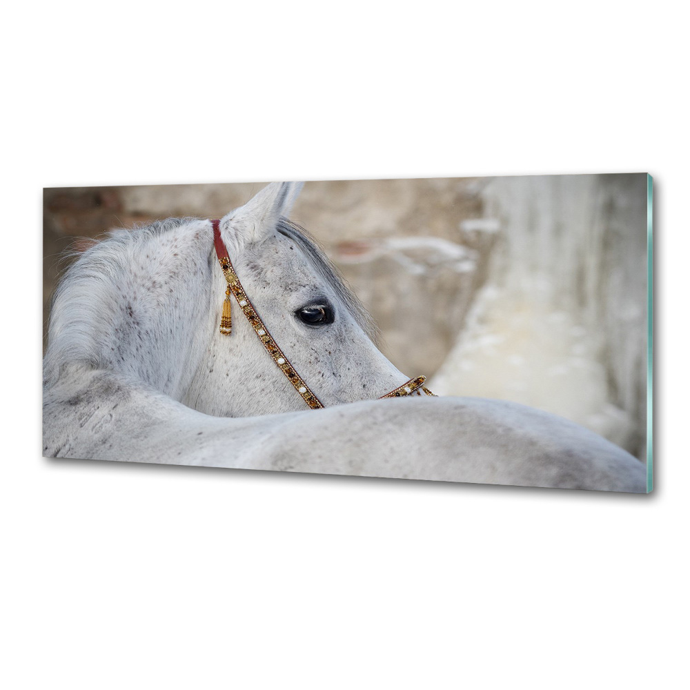 Kitchen splashback White Arabian horse