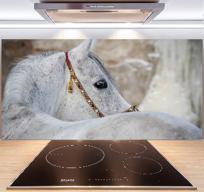 Kitchen splashback White Arabian horse