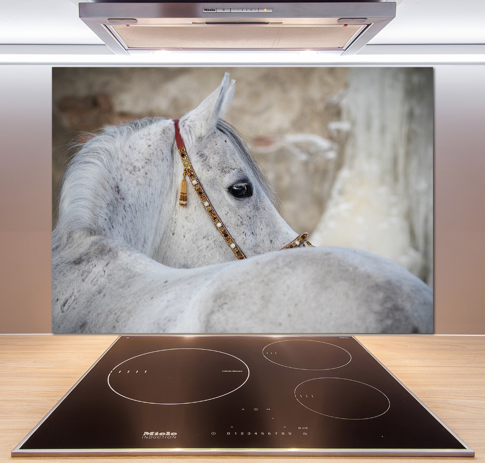 Kitchen splashback White Arabian horse