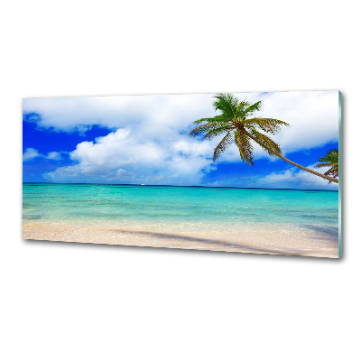 Cooker splashback Caribbean beach