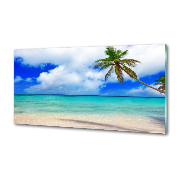 Cooker splashback Caribbean beach