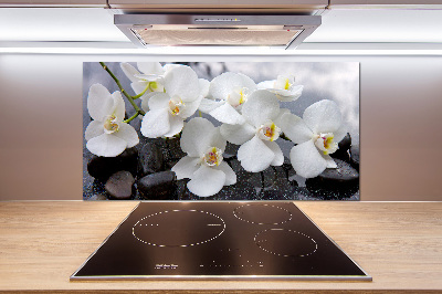 Kitchen splashback Orchid