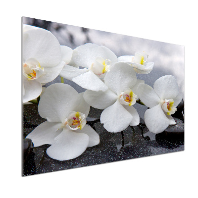 Kitchen splashback Orchid