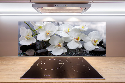 Kitchen splashback Orchid