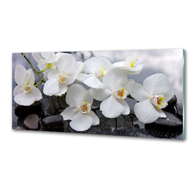 Kitchen splashback Orchid