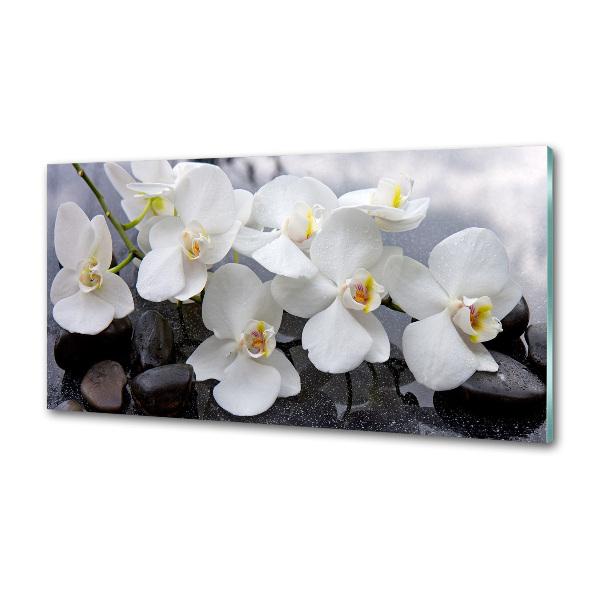 Kitchen splashback Orchid