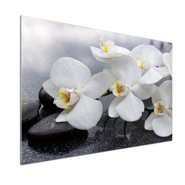 Kitchen wall panels Orchid