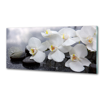 Kitchen wall panels Orchid