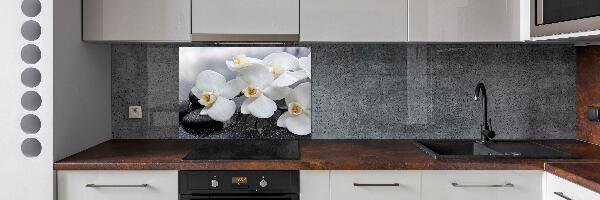 Kitchen wall panels Orchid