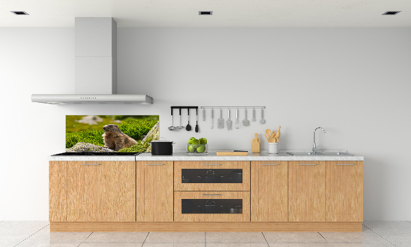 Kitchen splashback Tatra marmot