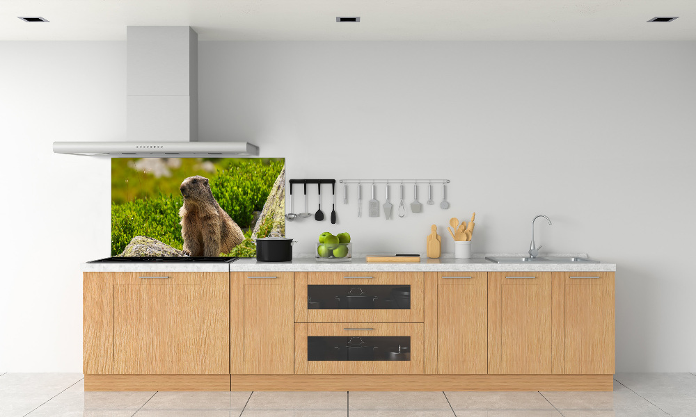 Kitchen splashback Tatra marmot