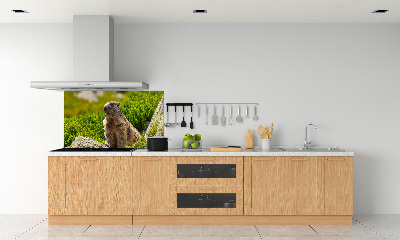 Kitchen splashback Tatra marmot