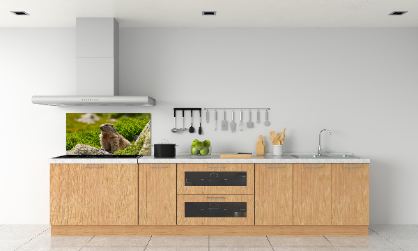 Kitchen splashback Tatra marmot