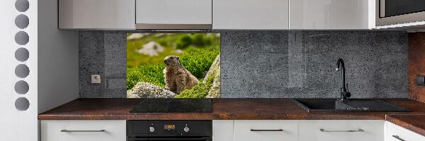 Kitchen splashback Tatra marmot